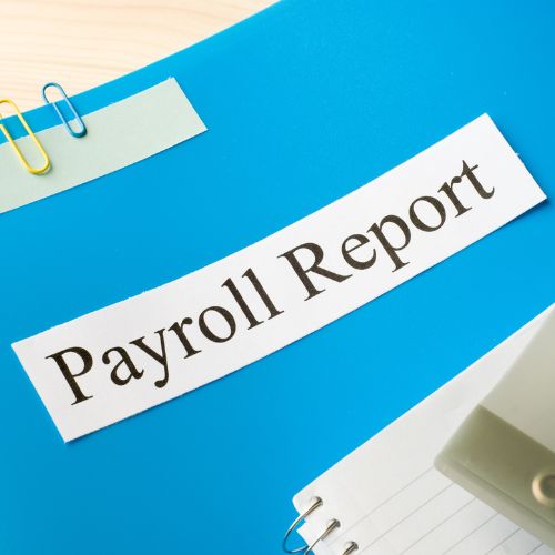 payroll reports